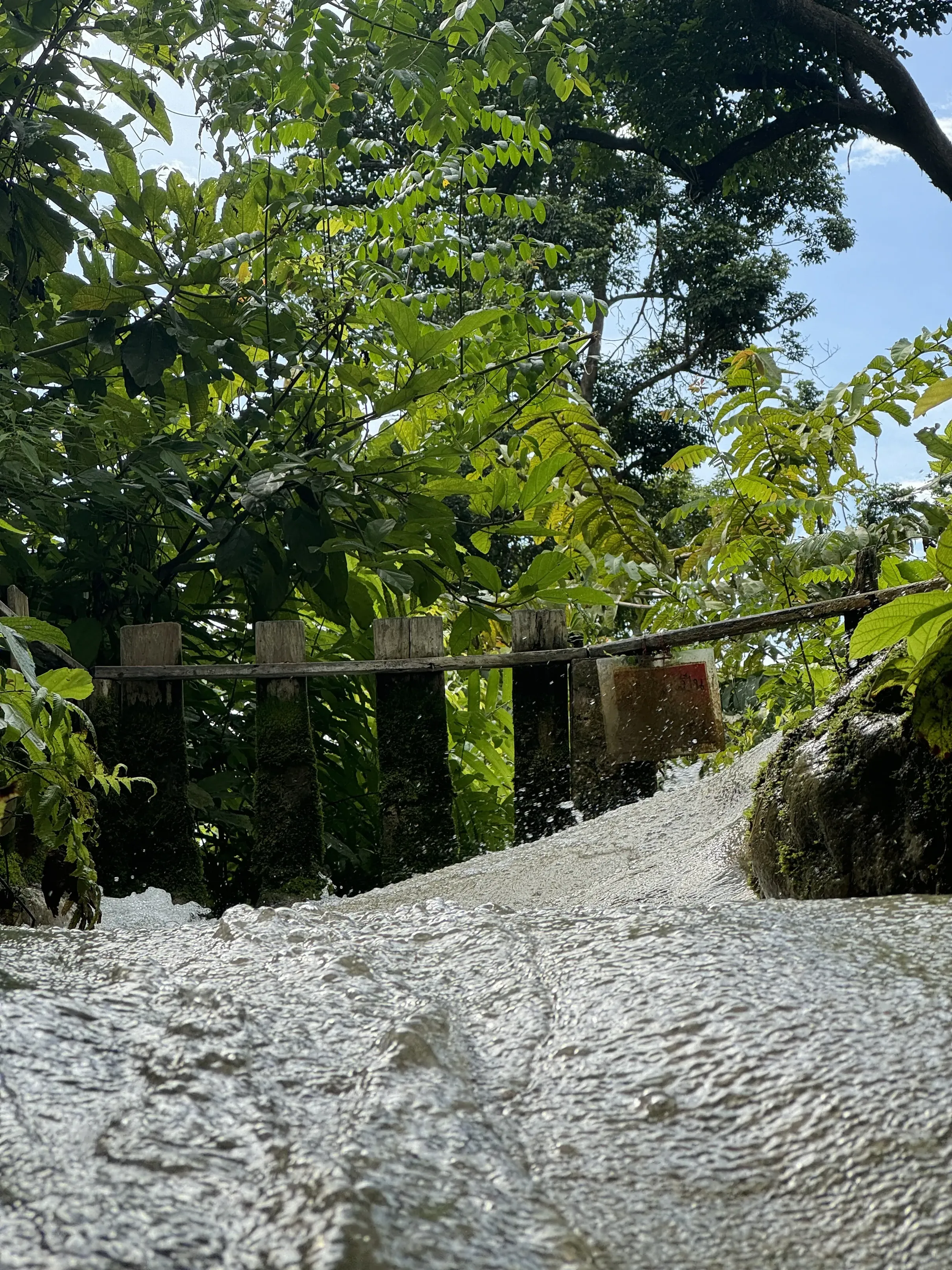 水质清澈